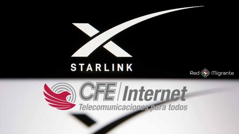 CFE se une a Starlink de Elon Musk para brindar Internet a comunidades lejanas (VIDEO)